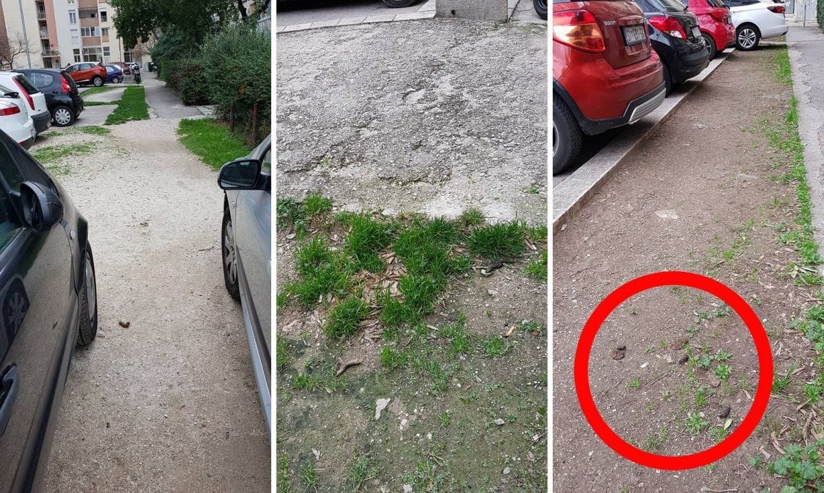 "Nažalost i ovo je Split": Objava oko psećeg izmeta uzburkala strasti