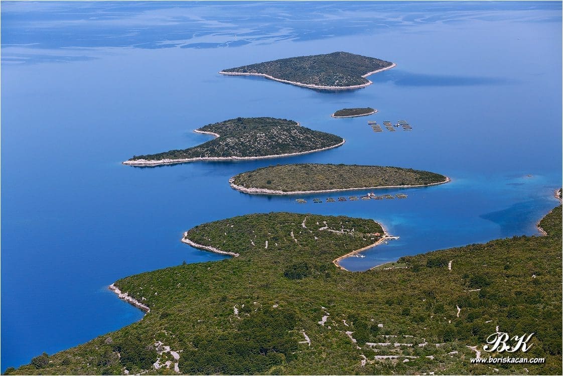 KONCESIJSKI KAOS Tko kome ili kako kome odgovara?