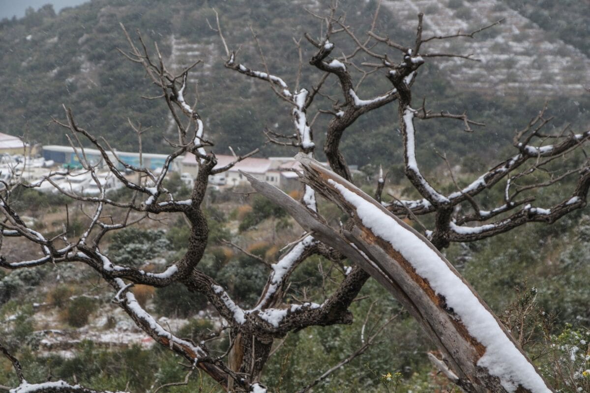 snijeg_primosten (19)