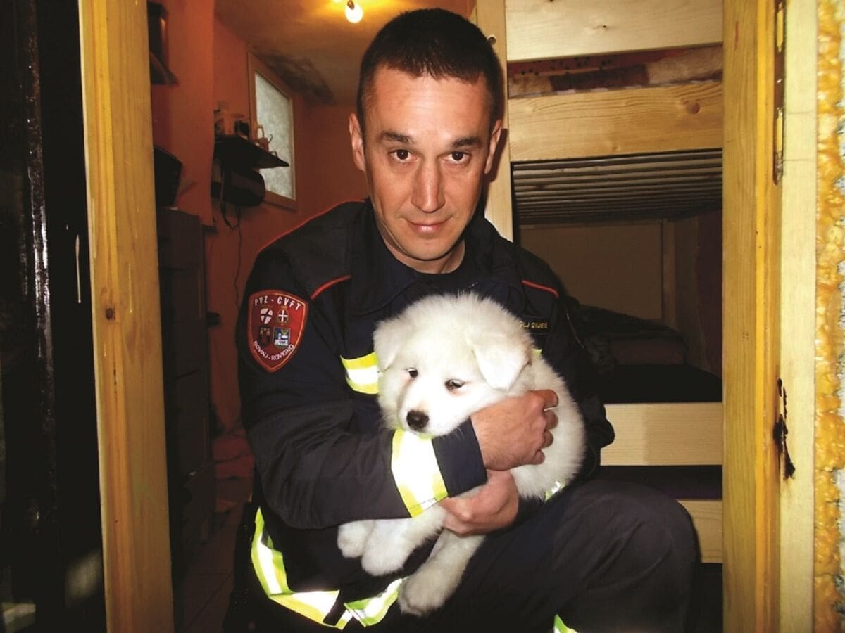 ZAR I TO RADE VATROGASCI? Neobične vatrogasne intervencije