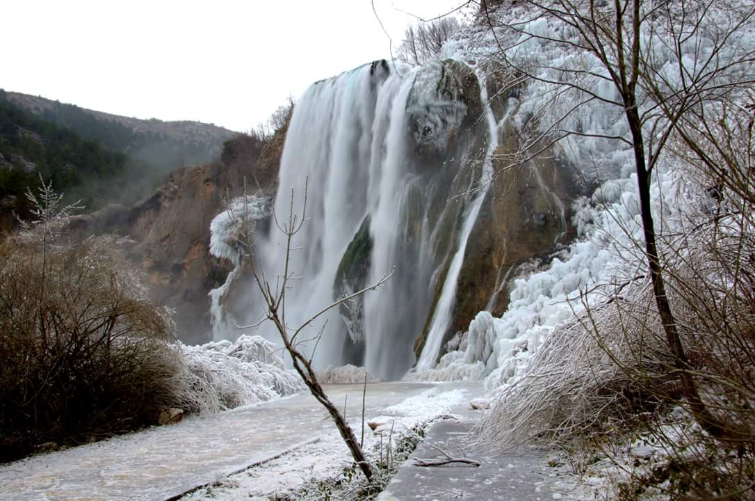 FB_IMG_1519863647924