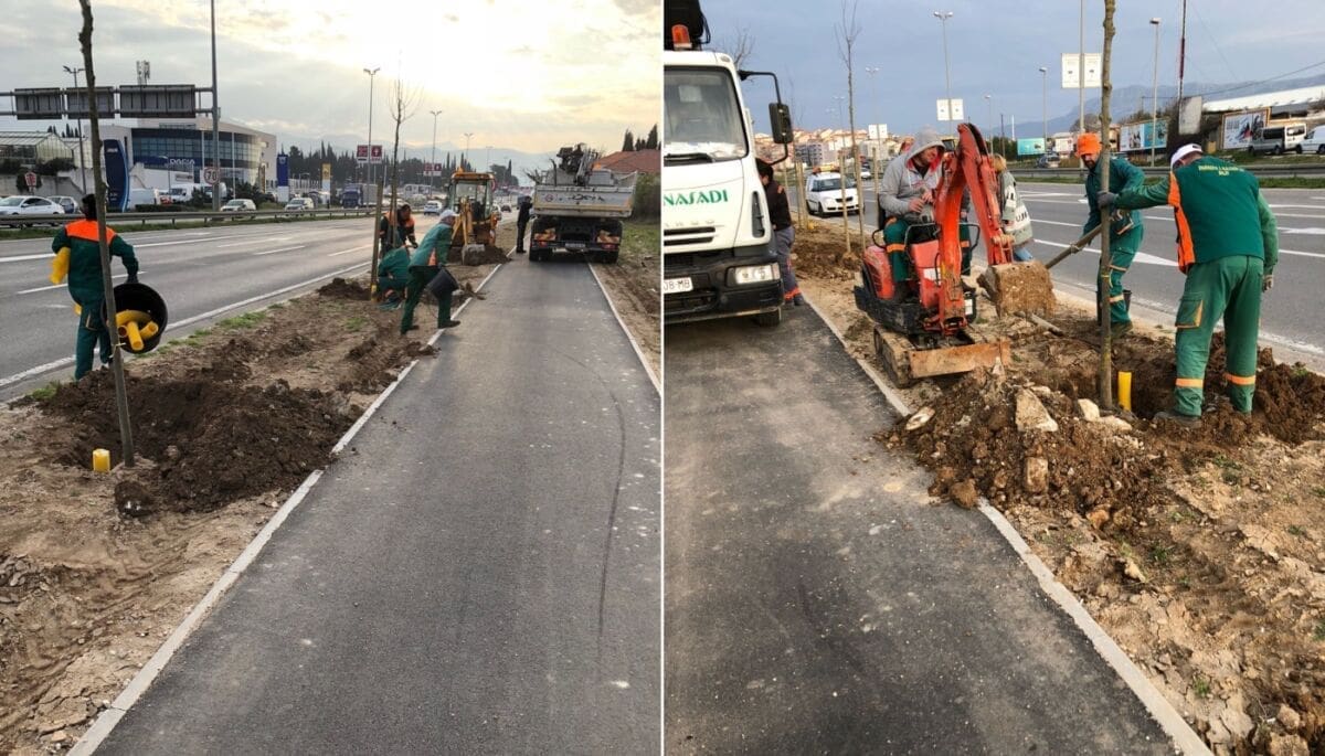 Velika akcija sadnje stabala u Splitu: Na izlazu iz grada zasađen drvored od 60 kostela