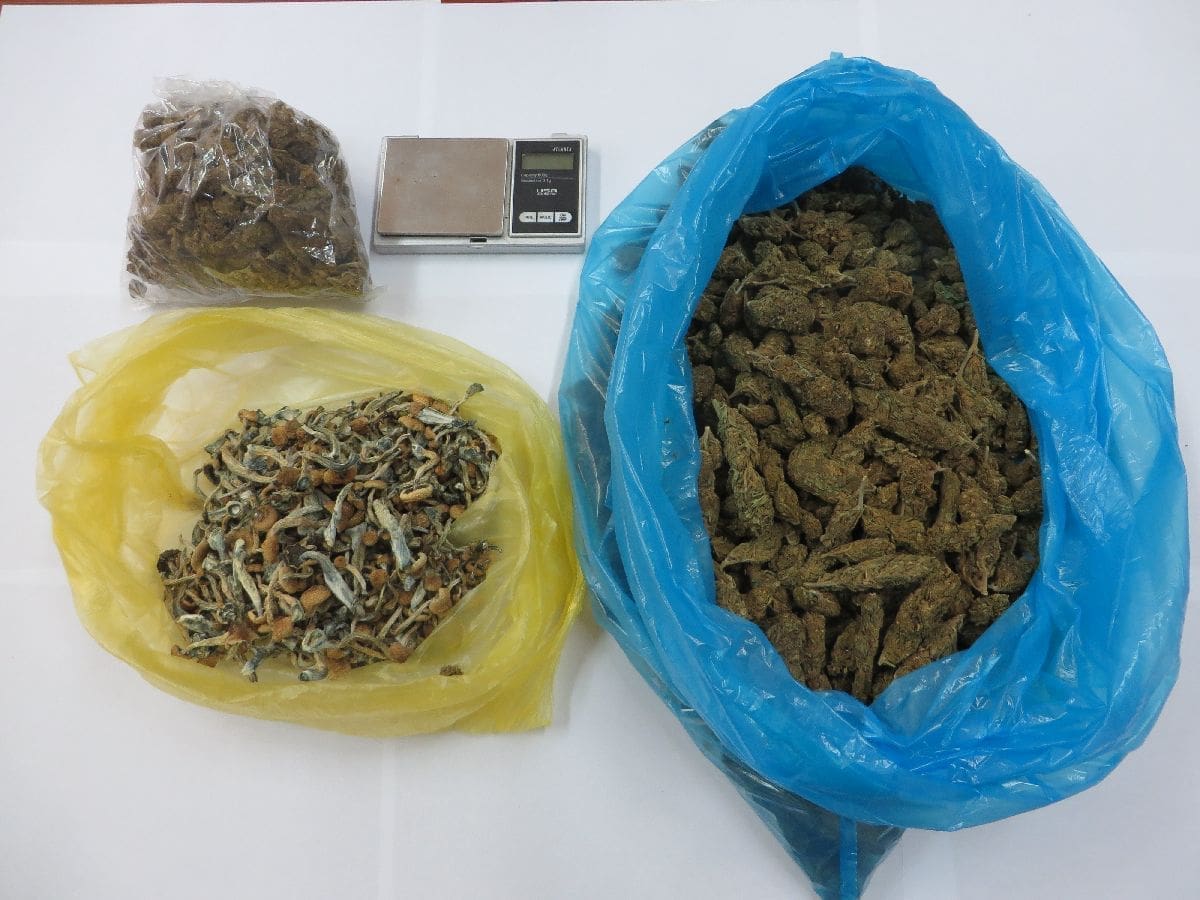 Policijska racija u Zadru: 26-godišnjak uhvaćen s pola "kile" marihuane i halucinogenim gljivama