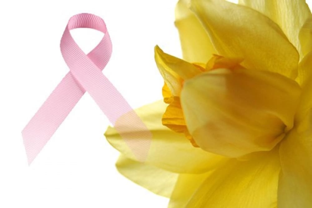 DAN NARCISA U SOLINU Humanitarna akcija prikupljanja sredstava za prevenciju i rano otkrivanje raka dojke