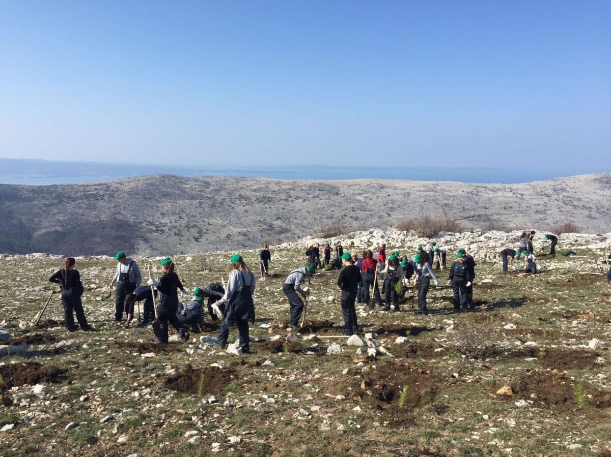 posumljavanje_mosor_01