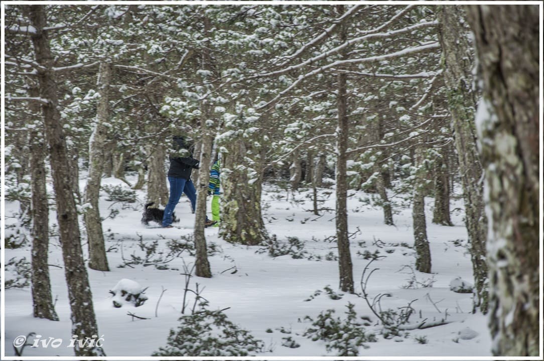 vidova_gora_brac_snijeg01