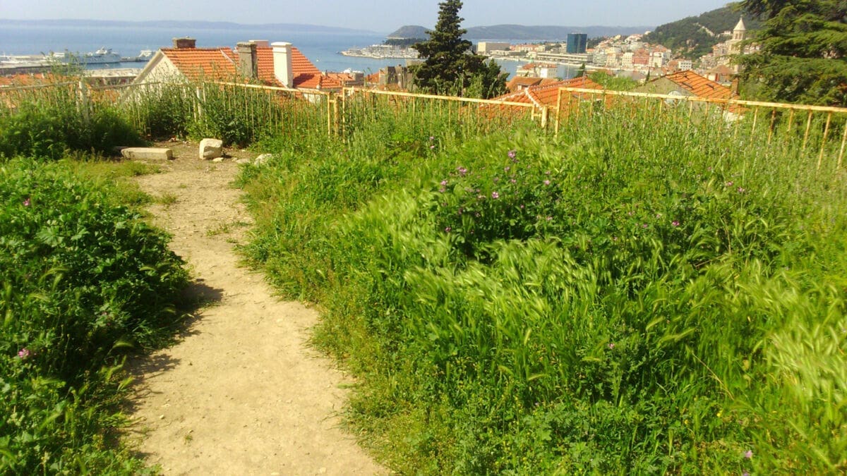 akcija_ciscenja_tvrdjava_gripe_(9)