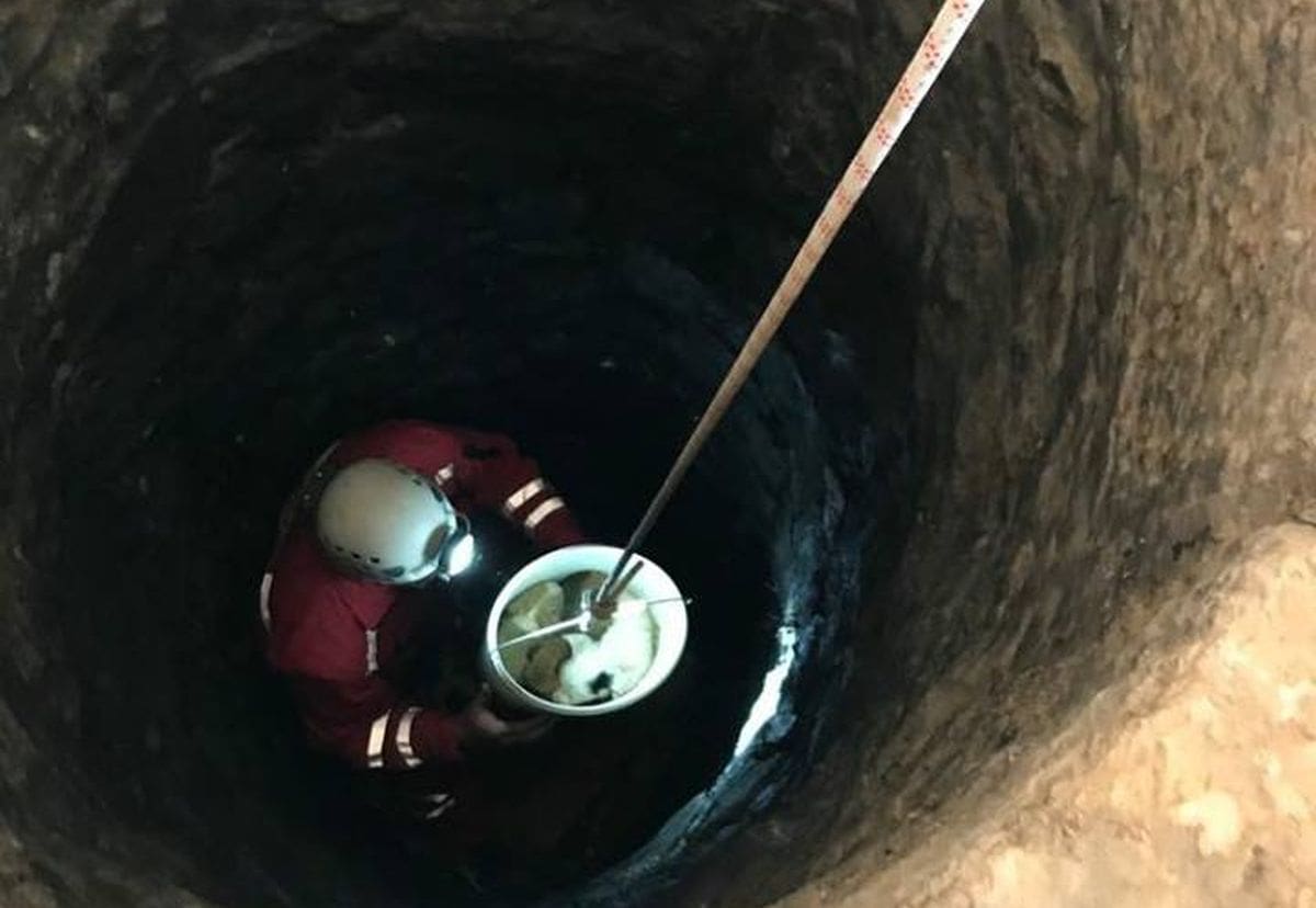 Makarski HGSS-ovci spasili štence iz bunara od monstruozne smrti