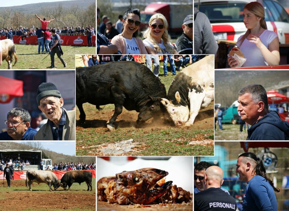 KORIDA U DICMU Brojna publika uživala u sunčanom vremenu, borbi bikova i pečenom