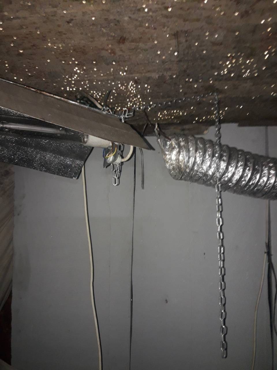 laboratorij_velaluka (1)