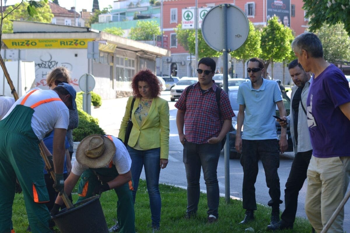 Split bogatiji za dva nova stabla: Članovi stranke Pametno posadili dva nova stabla u Gundulićevoj i Biokovskoj ulici