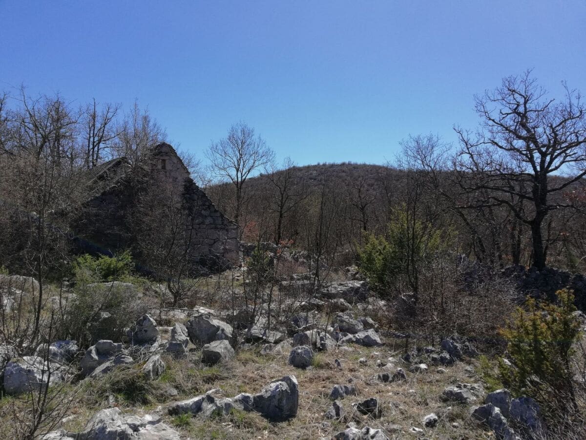 spasavanje_hgss_konj_01