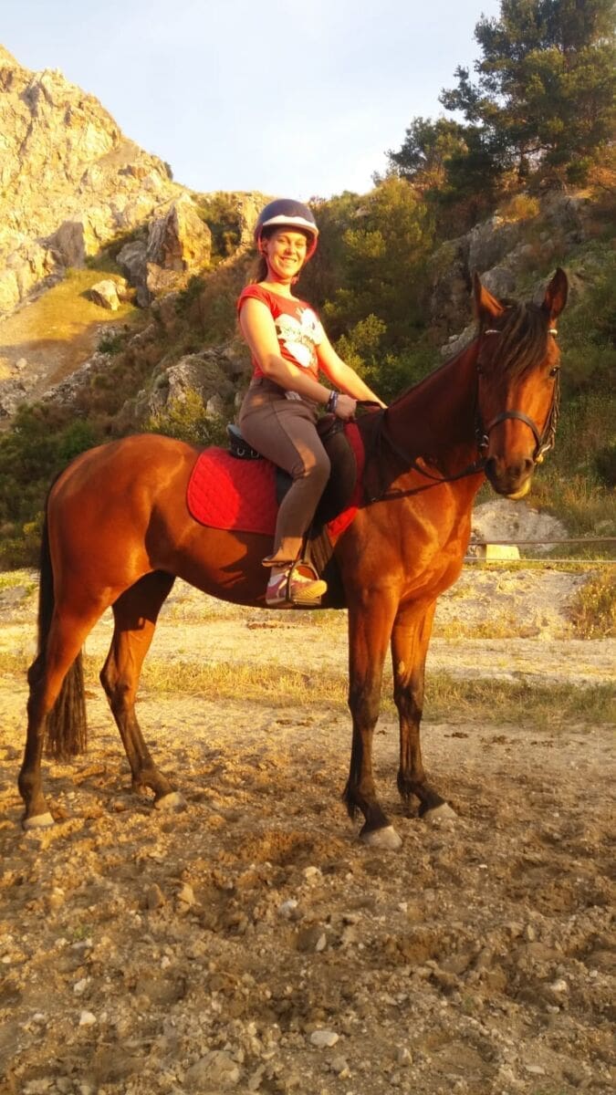 dalmacija_equino_konji(1)