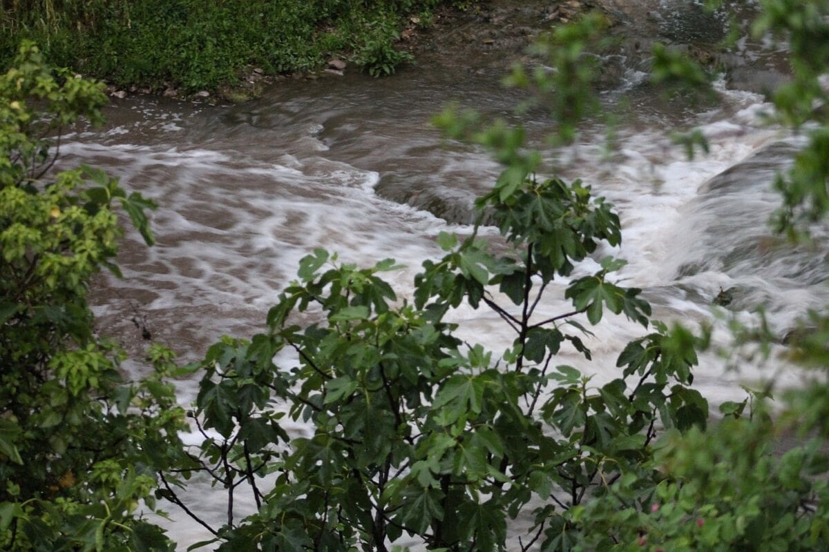 Nakon nekoliko mjeseci, ponovno došlo do zamućenja rijeke Žrnovnice