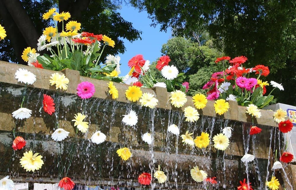 U subotu počinje 43. tradicionalni Sajam cvijeća u Splitu