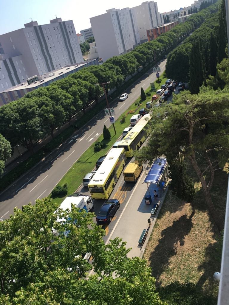 35971978_1825511214161932_8618628680094056448_n