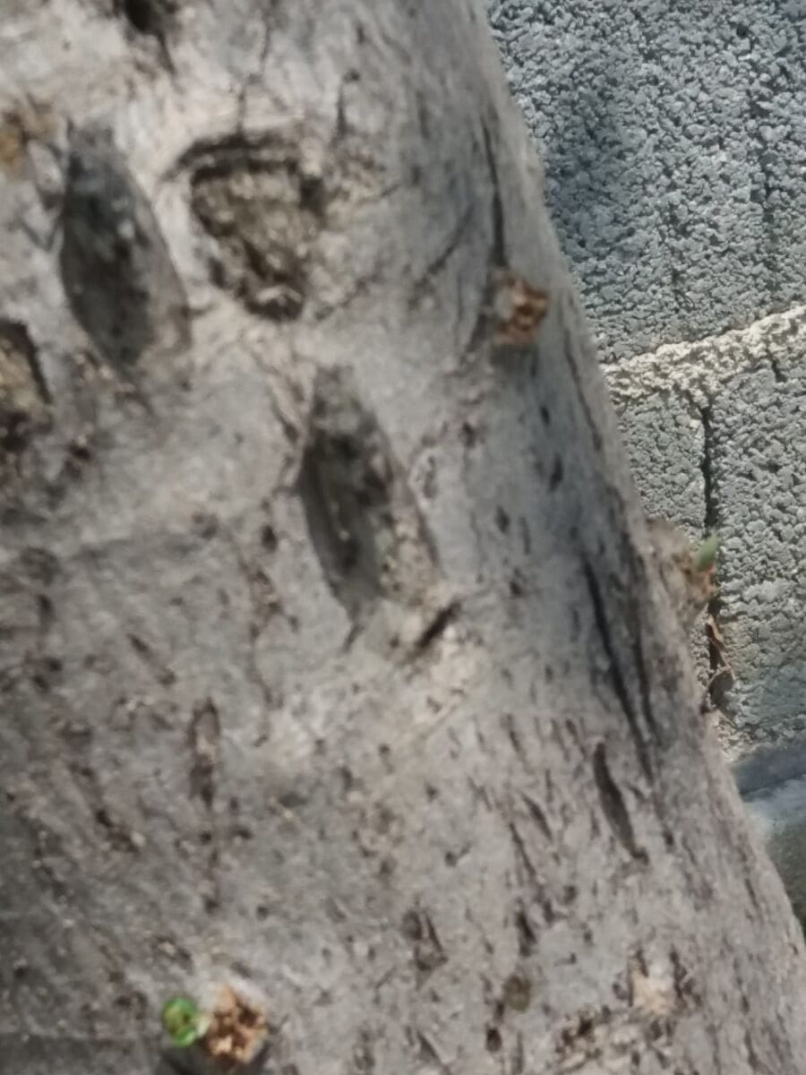 WhatsApp Image 2018-06-17 at 13.44.50(1)