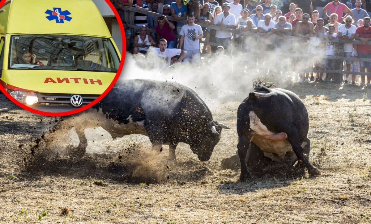 KOBNI ROGOVI Bik nasrnuo na svog vlasnika, odstranjen mu bubreg, probodene noge i oštećena pluća