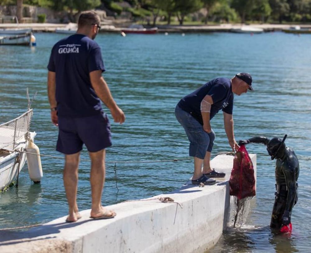 EKO AKCIJA Ronioci i vatrogasci očistili podmorje u Kaštel Sućurcu