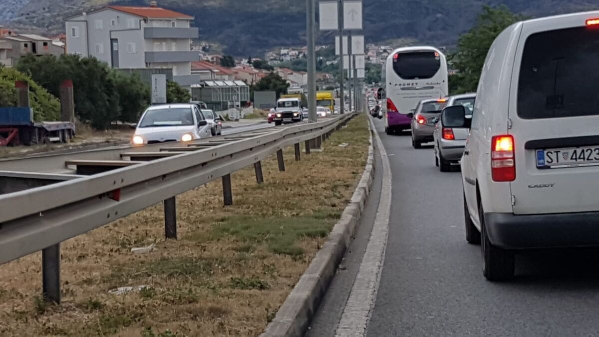 guzve_stobrec_sirobuja_(3)