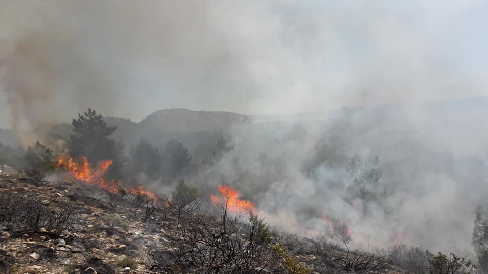 Izbio požar na Hvaru: Gasi ga 21 vatrogasac iz 3 vatrogasna društva