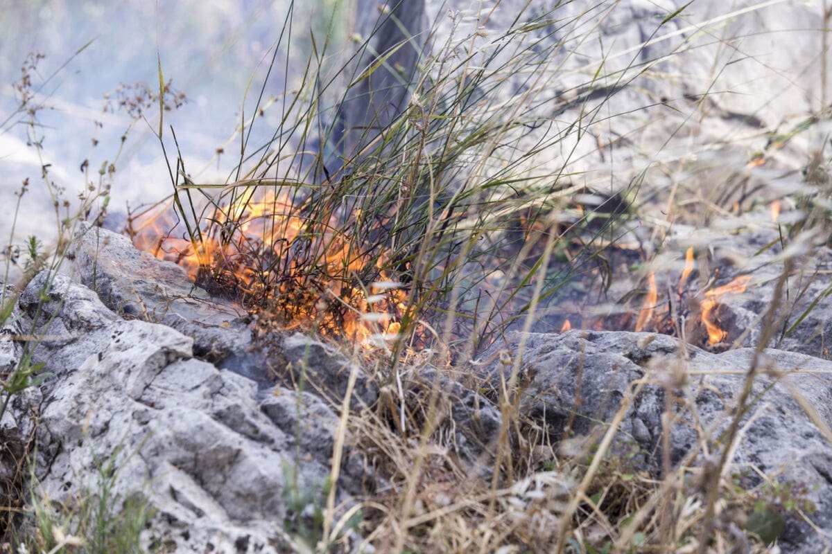 Nekoliko vatrogasnih društava s Hvara izašlo na teren zbog dojave o požaru, nisu trebali intervenirati