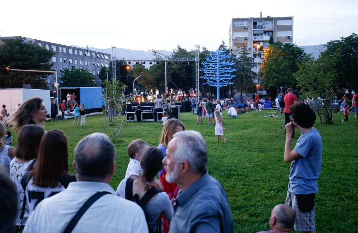 vasco_plavo_stablo_(1)