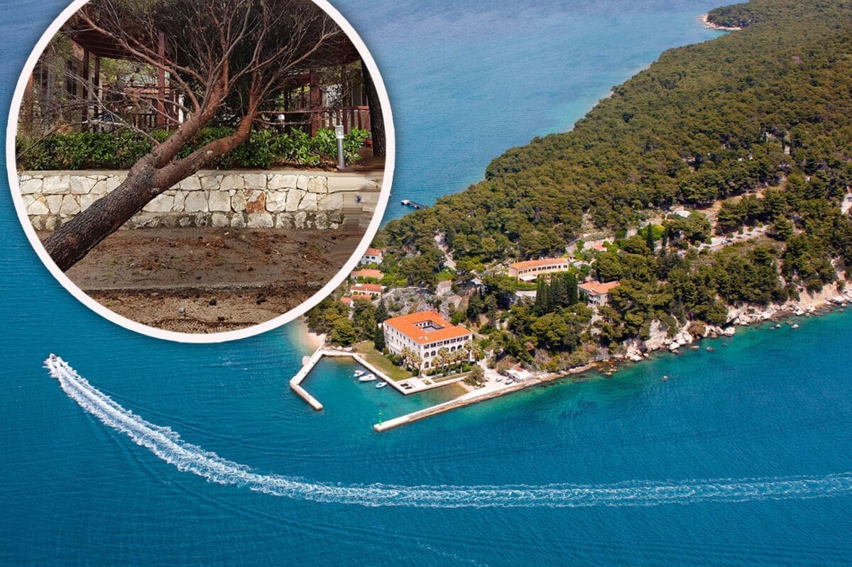 ZAMALO TRAGEDIJA Bura na Marjanu srušila osušeno stablo tik ispred šetača s malim djetetom