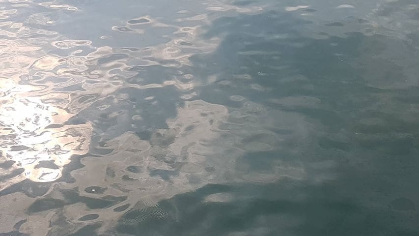 38528930_688599591489462_3569042497839562752_n