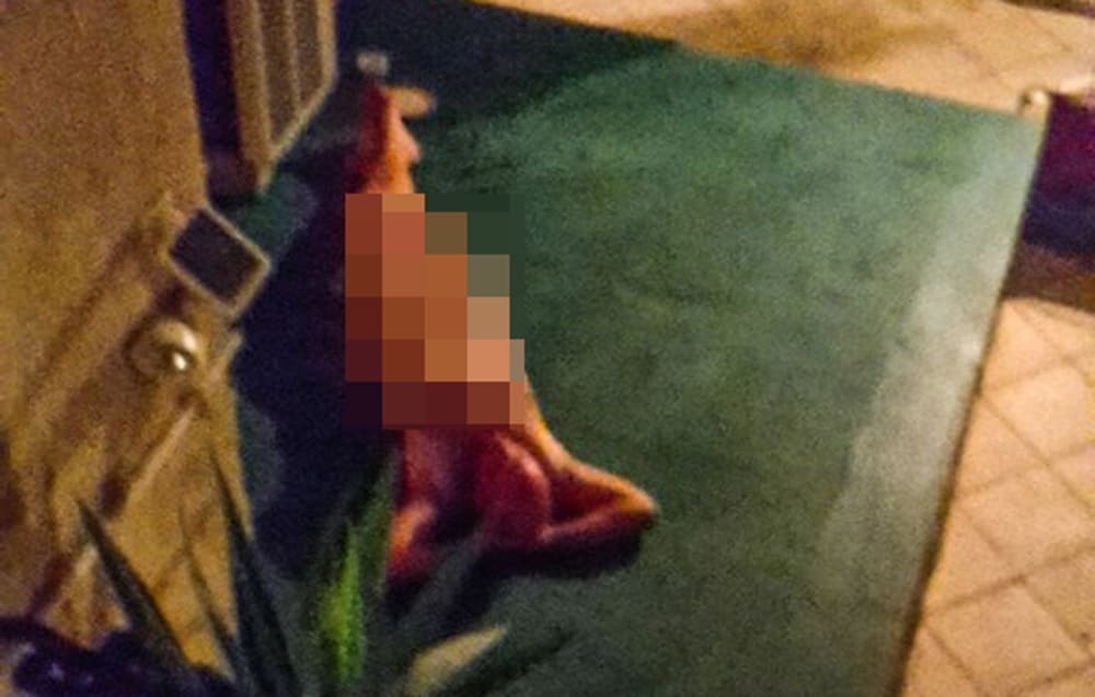 K'O OD MAJKE ROĐEN Skinuo se do gola i legao nasred Dioklecijanove palače