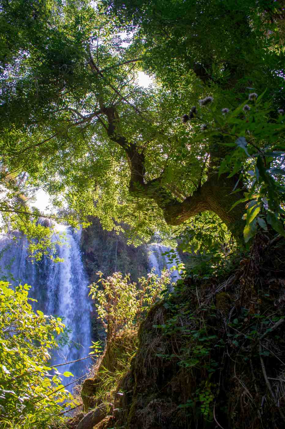 manojkovica_slap_bilusica_buk_krka_(1)