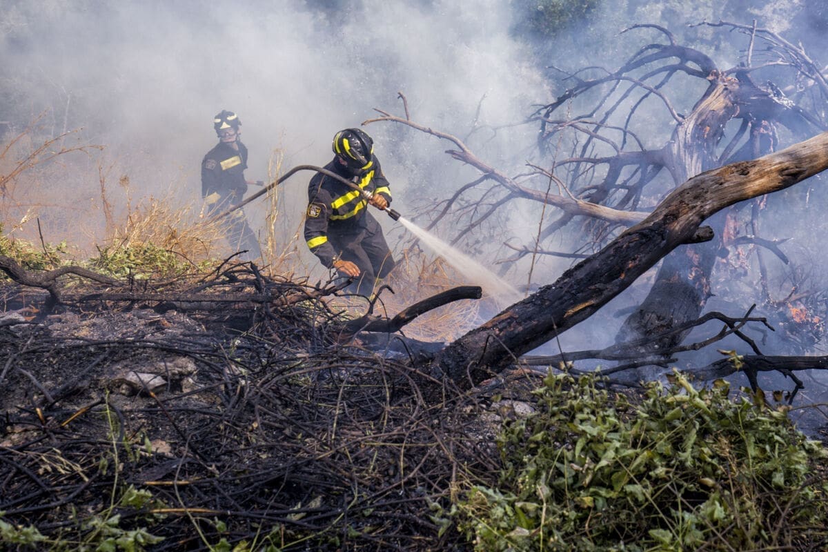 Munja izazvala požar na Kozjaku: Vatrogasci cijelu noć proveli na požarištu