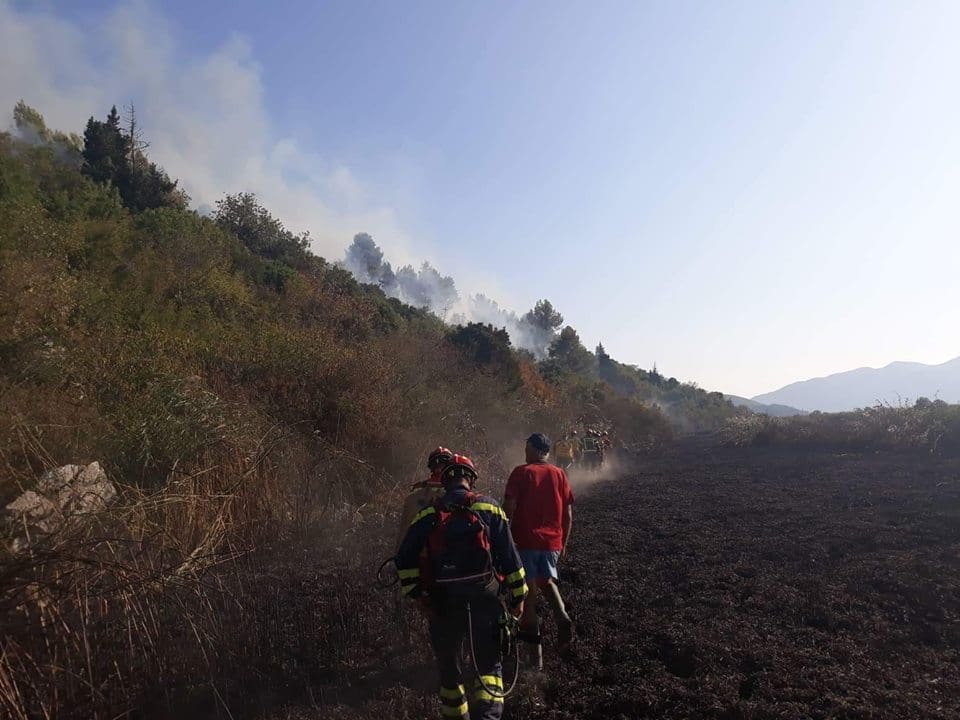 41331800_1033864710107164_5574561160126005248_n