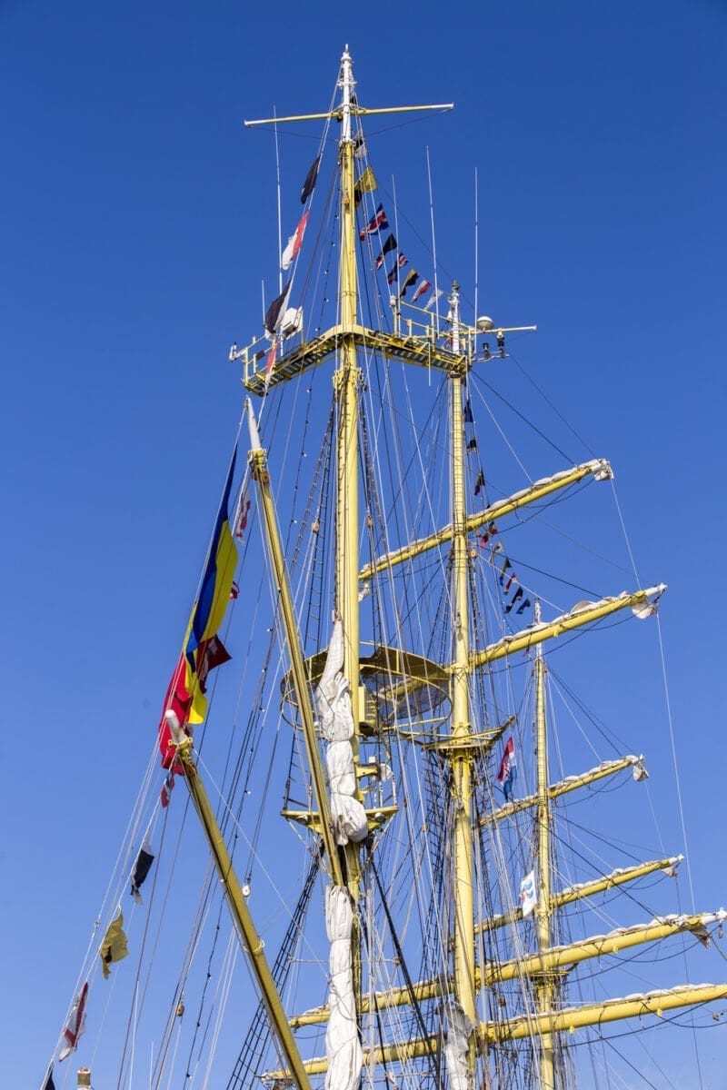 mircea_jedrenjak_rumunjska_(9)