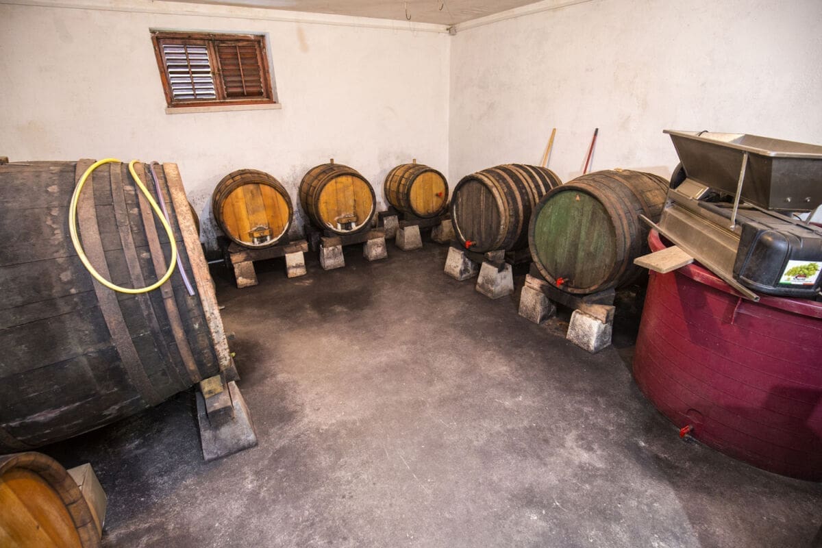 skrip_opg_(1) konoba