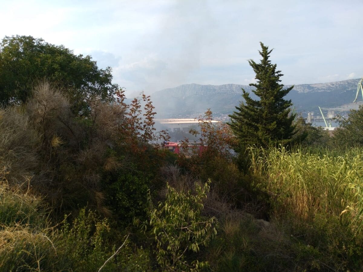 PLANULO NA TURSKOJ KULI Gorjeli borovi i nisko raslinje