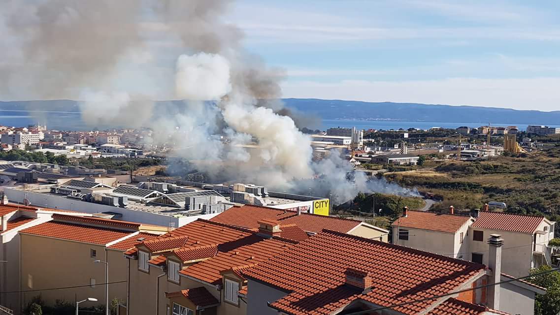 WhatsApp Image 2018-10-04 at 15.37.13