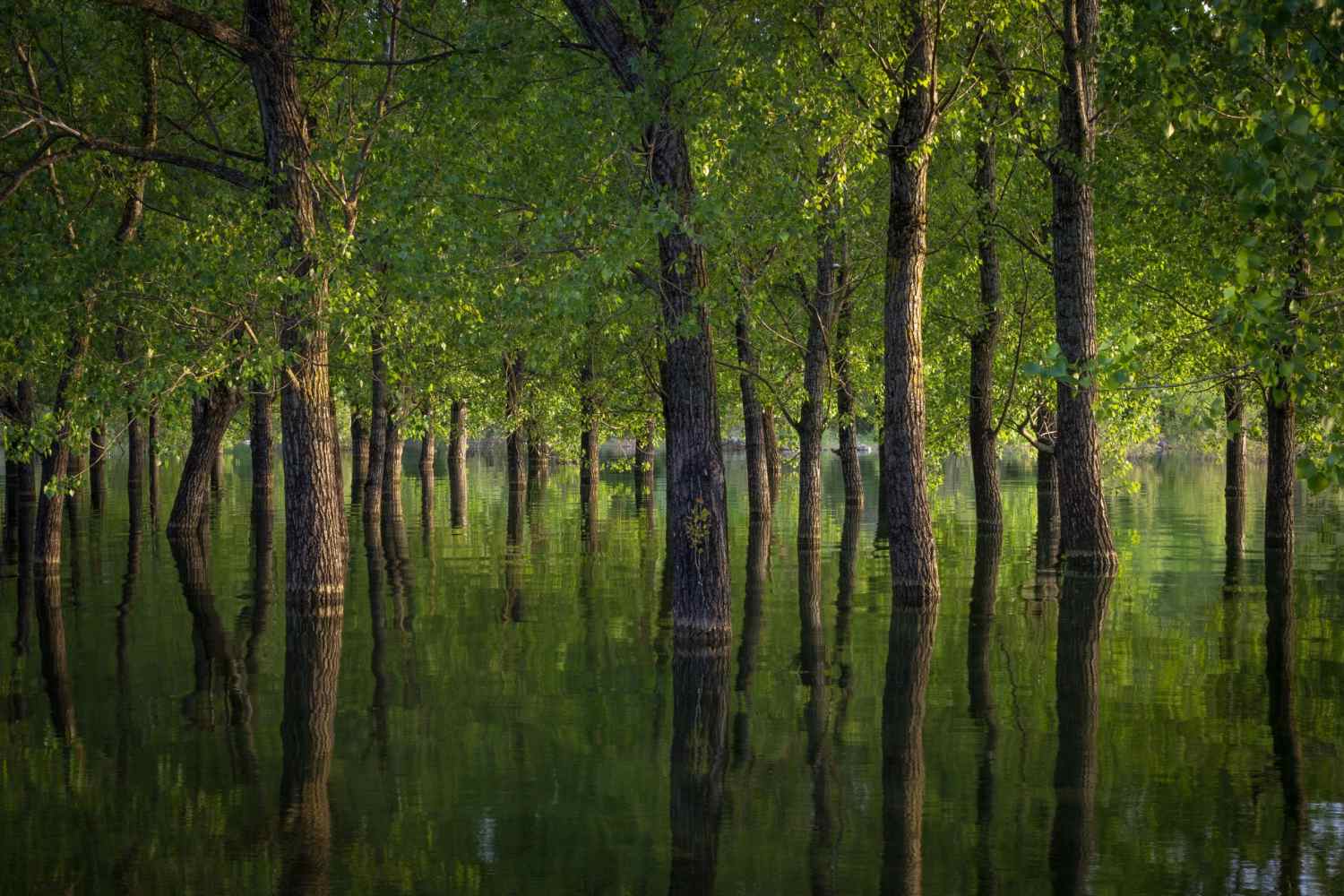 VELIKI USPJEH SPLITSKOG FOTOGRAFA Dvije fotografije među najboljima po izboru europskih glasača