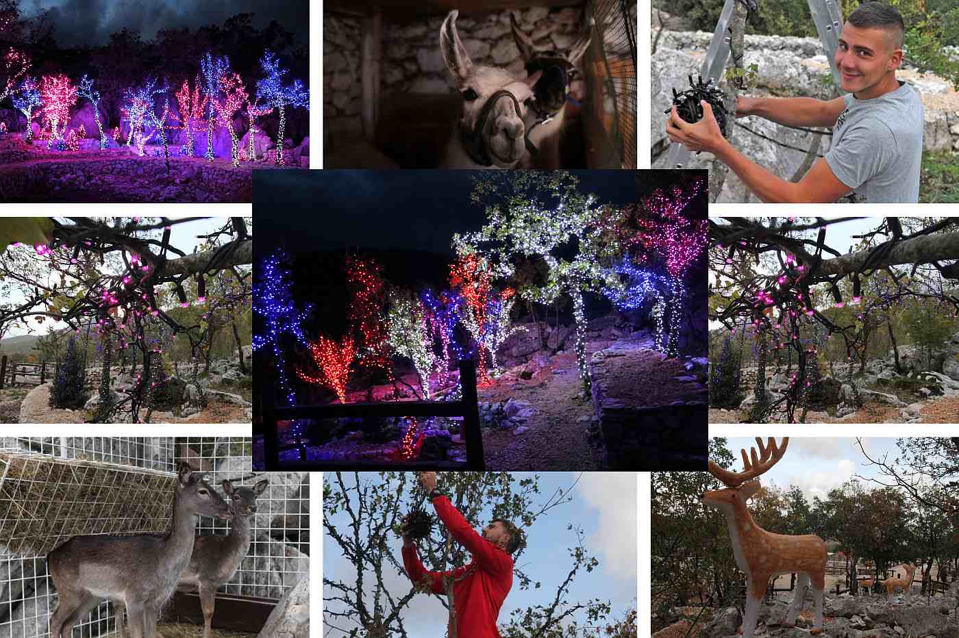 MILIJUN LAMPICA UKUPNE DULJINE 24 KILOMETRA Dolac Gornji organizira spektakularno "Božićno Selo" sa živim životinjama i domaćim specijalitetima