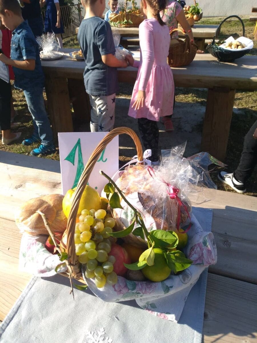 dankruha_zrnovnica (1)