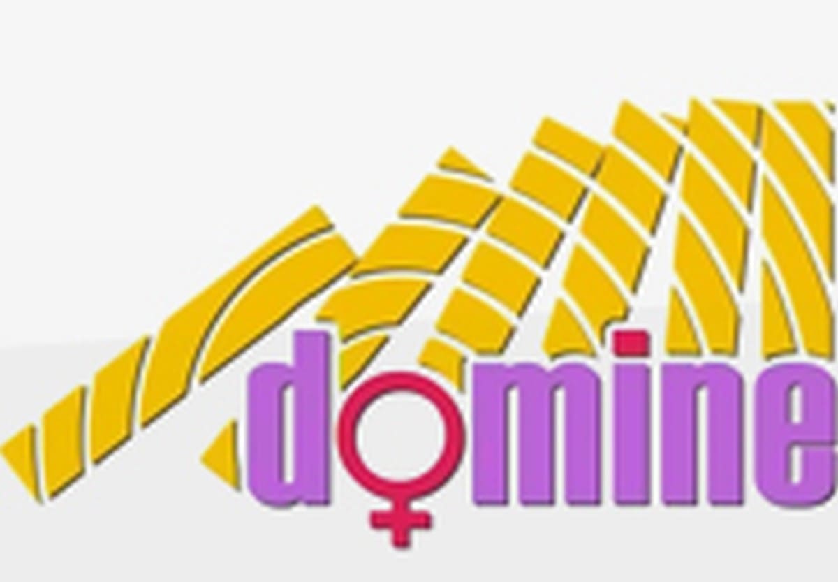 Od jezika do radionica za EU projekte: udruga Domine predstavila jesenski program