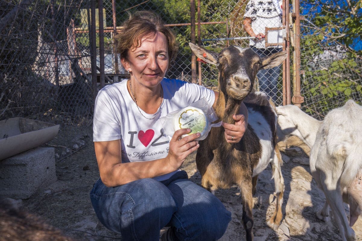 HRVATSKI APSURD Voljni raditi i proizvoditi hrvatske proizvode, a birokracija im to onemogućuje