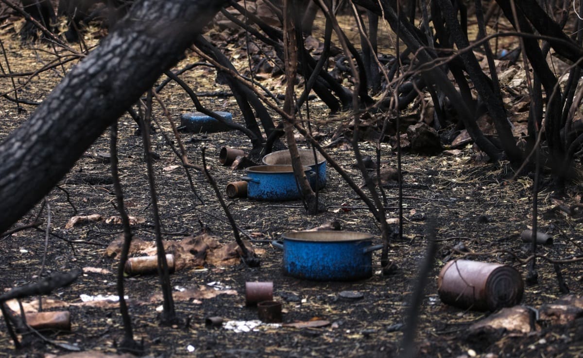 SPALJENA ZEMLJA Druga strana priče pelješkog požara: Vatra otkrila svu neodgovornost odnosa prema prirodi