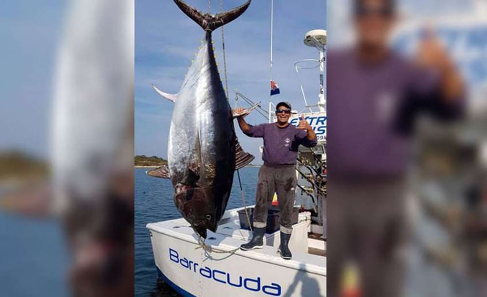OBORIO VLASTITI REKORD Vodički ribolovac ulovio tunu od 317 kilograma