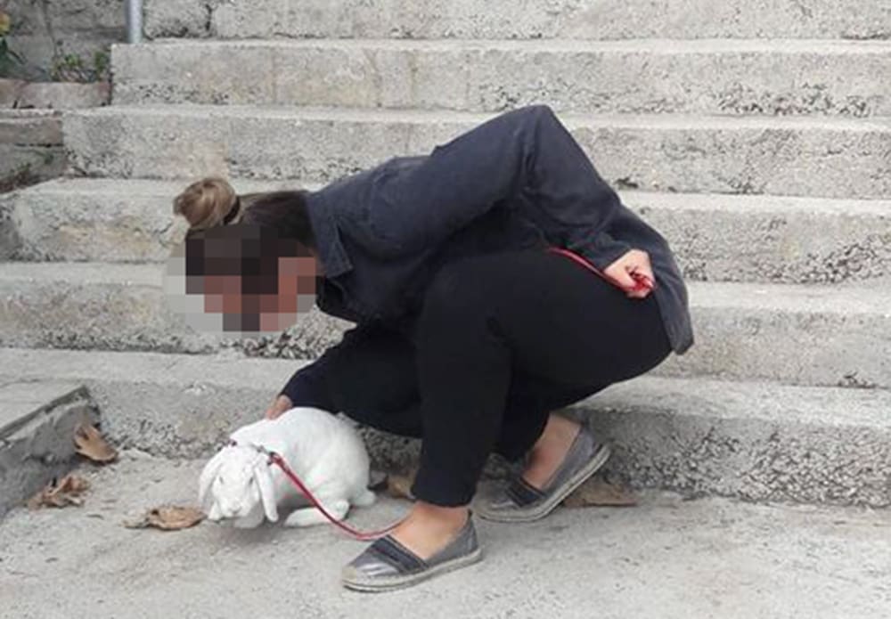 NESVAKIDAŠNJI PRIZOR NA BAČVICAMA Nećete vjerovati koga je ova Splićanka izvela u šetnju