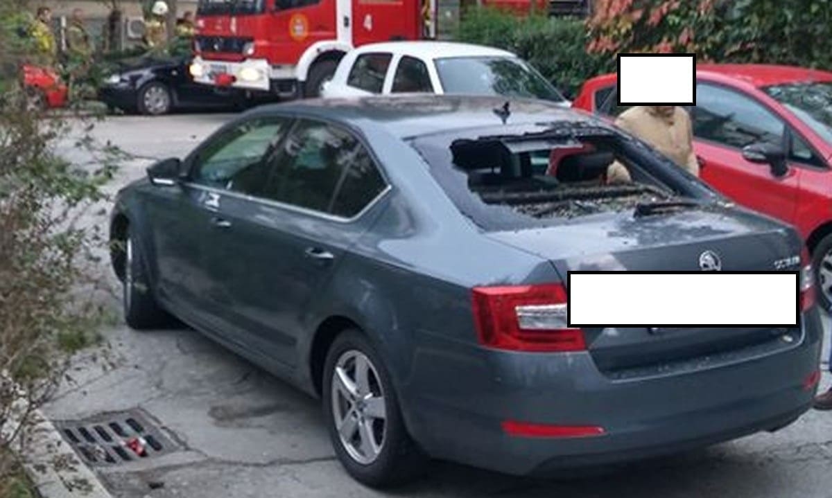 NESREĆA NA SKALICAMA Stablo "poklopilo" automobil