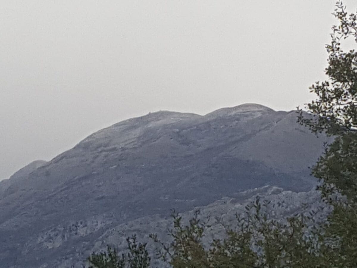 WhatsApp Image 2018-11-17 at 09.52.11