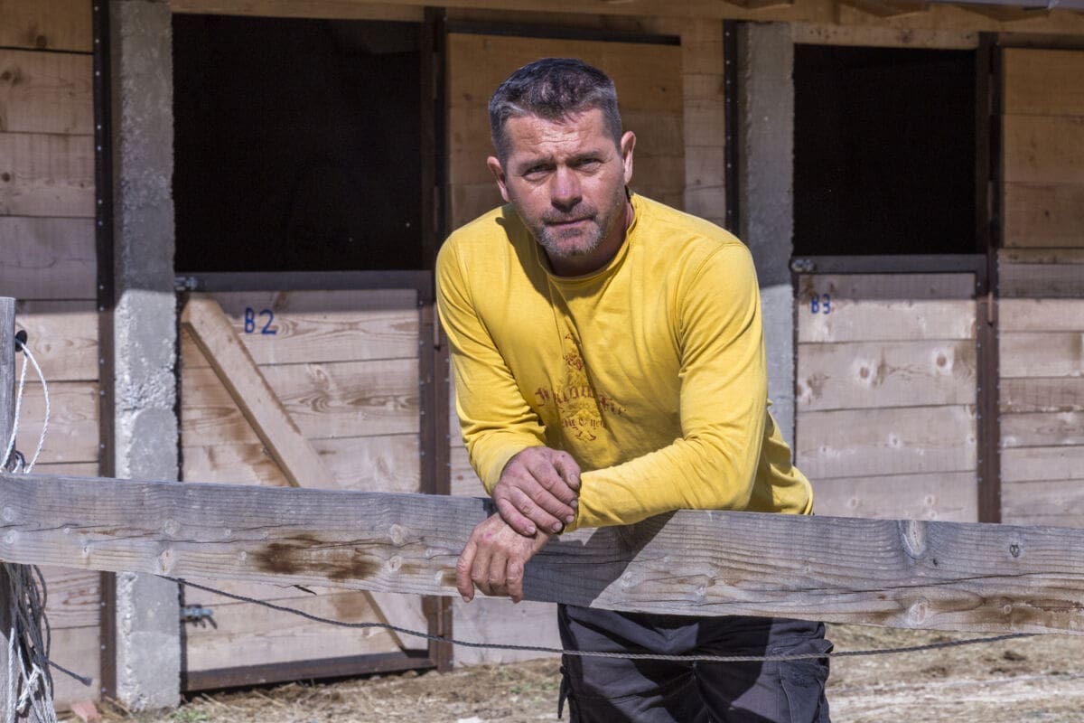 dalmacija_equino_(30)