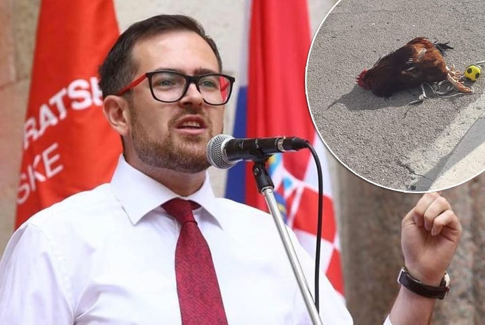 Barbir o zlostavljanju pijetla u Splitu: "Divljač bez empatije željna krvi i mučenja. Mijenjam jednog takvog za 10 imigranata"