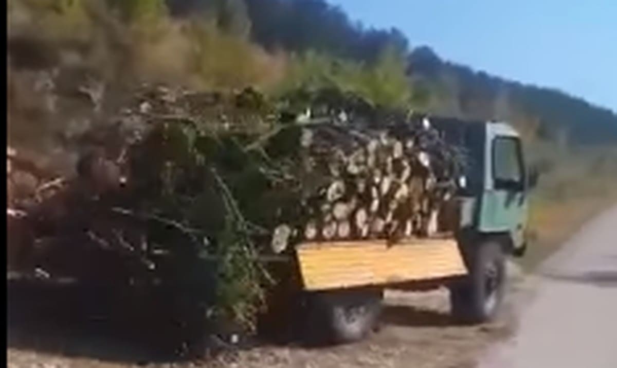 URNEBESNO Pogledajte kako se u Dalmaciji istovaraju drva